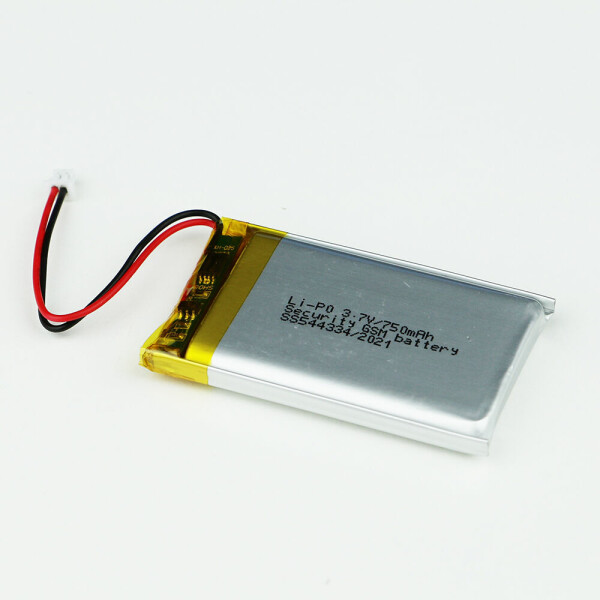 PROBATTERY2000